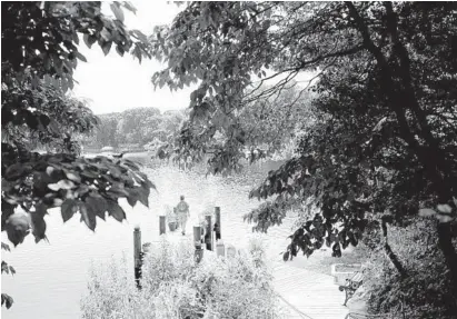  ?? JEN RYNDA/BALTIMORE SUN MEDIA GROUP PHOTOS ?? Lise Crafton, shown Wednesday, said dark false mussels were so thick on an oyster cage submerged off her pier in Cattail Creek off the Magothy River that she could hardly extract the oysters.