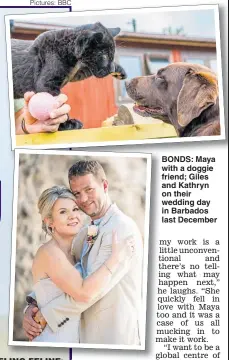  ?? Pictures: BBC ?? BONDS: Maya with a doggie friend; Giles and Kathryn on their wedding day in Barbados last December