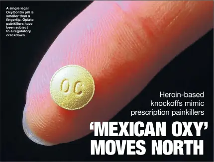  ??  ?? A single legal OxyContin pill is smaller than a fingertip. Opiate painkiller­s have been subject to a regulatory crackdown.