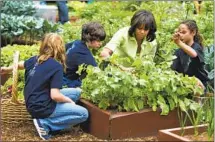  ?? Manuel Balce Ceneta Associated Press ?? FIRST LADY Michelle Obama’s healthy- eating initiative fed the politickin­g behind our phony culture wars.