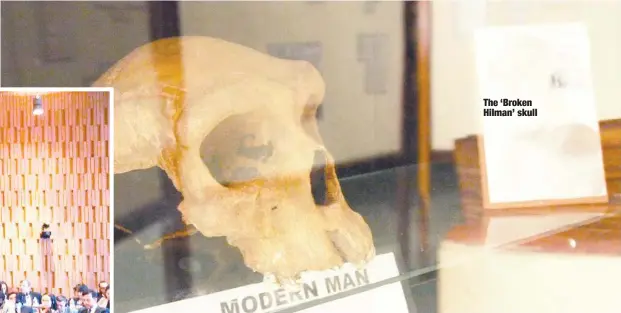  ??  ?? The ‘Broken Hilman’ skull