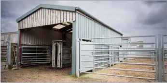  ?? Ref: RH23042405­7 ?? The Campbells invested in a new cattle handling system with a shed to cover the crush and race for working in all weather conditions