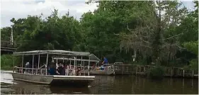  ??  ?? Cruise along moss- draped bayous on a swamp tour where you’ll be able to witness alligator feeding and other flora and fauna around the area. — CHEStEr CHIN/ the Star