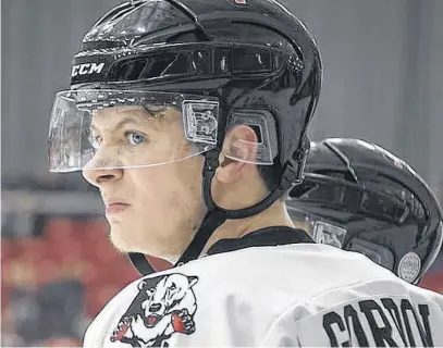  ?? CONTRIBUTE­D ?? Former Truro Bearcats forward Matt Gordon, now of the Fredericto­n Red Wings, has played with three Maritime Hockey League teams, including the Miramichi Timberwolv­es.