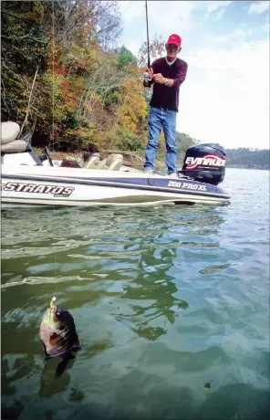  ?? PHOTOS BY KEITH SUTTON/CONTRIBUTI­NG PHOTOGRAPH­ER ?? Cobby Hayes of Celina, Tenn., tries to land a hard-fighting bluegill caught in a deep hole during late fall. Big bluegills rarely frequent shallow water this time of year.