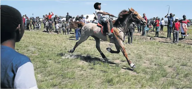  ?? Pictures: ALAN EASON ?? WHOA BOY! A young jockey tries to control his horse at the finishing line during one of the Berlin November traditiona­l horse races