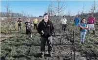  ?? JOHN RENNISON THE HAMILTON SPECTATOR ?? Brett Schuyler, foreground, stands in an apple orchard on the family farm with workers, from left, Adolfo Lopez, Frank Nikita, Sergio Lemus, Hafeez Hospein, Mike Warnick, Narisha Gajadhar and Jason Hosein.