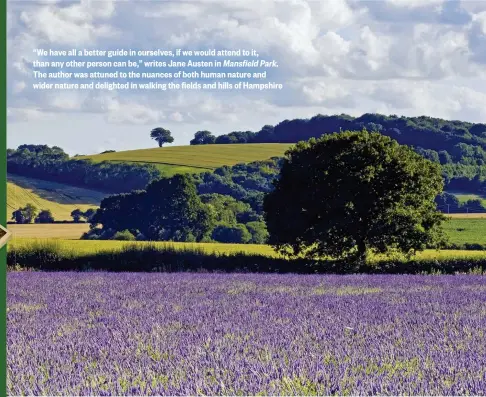  ??  ?? “We have all a better guide in ourselves, if we would attend to it, than any other person can be,” writes Jane Austen in Mansfield Park. The author was attuned to the nuances of both human nature and wider nature and delighted in walking the fields and...