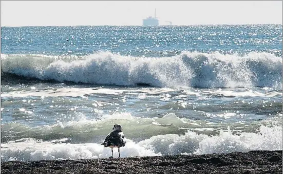  ?? PEDRO MADUEÑO / ARCHIVO ?? Las olas de la playa de Vinaròs, en una imagen tomada el año 2013