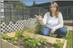  ?? BEA AHBECK/NEWS-SENTINEL ?? Science teacher Carla Dalfonso talks about the vegetable garden at Joe Serna Jr. Charter School in Lodi on Tuesday.