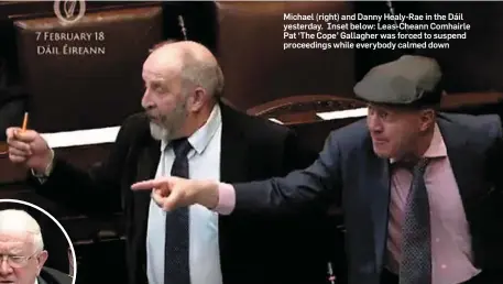  ??  ?? Michael (right) and Danny Healy-Rae in the Dáil yesterday. Inset below: Leas-Cheann Comhairle Pat ‘The Cope’ Gallagher was forced to suspend proceeding­s while everybody calmed down