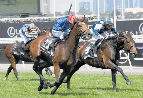  ?? Photo / ap ?? Cross Counter, with Kerrin McEvoy on board, centre, gets up to beat Marmelo in the Melbourne Cup yesterday.