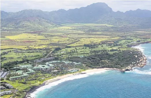  ??  ?? LOCATION: The Grand Hyatt Resort, bottom left, sits about 4km away from a proposed dairy farm, centre, in Poipu, Hawaii.