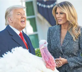  ?? FOTO: MANDEL NGAN ?? Auch dieses Ritual gehört zum Thanksgivi­ng-Fest: US-Präsident Donald Trump (74, hier mit Ehefrau Melania) hat bei der traditione­llen Zeremonie kurz vor dem Fest zwei Truthähne vor dem Tod bewahrt. Im Garten des Weißen Hauses sprach er am Dienstag dem Truthahn „Corn“(Mais) die offizielle Begnadigun­g aus. Zusammen mit „Cob“(Kolben) wird „Corn“künftig an der Universitä­t von Iowa leben.