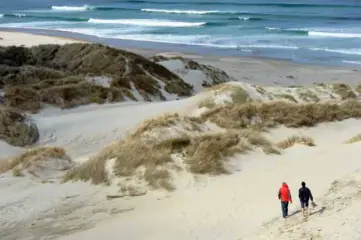  ?? AFP/VNA Photo ?? BEACH LIFE: Tourists
walk on the beach at Sandfly Bay, near Dunedin, New Zealand.
