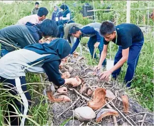  ??  ?? Learning sustainabl­e farming methods.