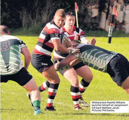  ??  ?? Whitland lock Rawhiti Williams launches himself at Llangennec­h full-back Matthew Jacob. Pictures: Phil Davies.