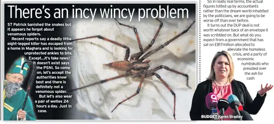  ??  ?? ST Patrick banished the snakes but it appears he forgot about venomous spiders.
Recent reports say a deadly little eight-legged killer has escaped from a home in Maghera and is looking for unprotecte­d ankles to bite. Except…it’s fake news! It doesn’t...