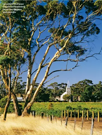  ?? ?? Henschke’s Hill of Grace vineyard and Gnadenberg church near Keyneton, South Australia