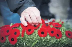  ?? JOHN WOODS THE CANADIAN PRESS FILE PHOTO ?? In addition to the traditiona­l poppy, the Royal Canadian Legion has made digital poppies available, allowing for creations that can be dedicated to a veteran.