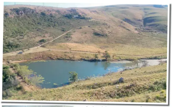  ??  ?? Above: Panoramic view of the Rivendell valley and dam; left: Incubator and sex reversal hatchery.
Opposite (top): Rivendell’s large dam overflowin­g after good spring rains. (Middle): Cop azureus: Lake Malawi cichlid (Below): ‘ Red 6’ Mozambique tilapia popular in aquaponics.