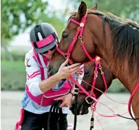  ??  ?? Horses used by the Pink Caravan riders are from a stable in Dubai — out of the 15 horses, riders use up to 10 in a day.