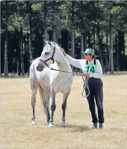  ?? Photo: SUPPLIED ?? Good job: Kaikoura’s Sally Blunt and Hundalee Pilot after competing in the training 17km class at the Marlboroug­h Endurance and Trail Riding Club’s final ride of 2013 in the Waihopai Valley on Sunday.