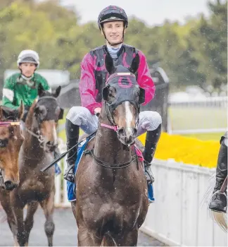  ?? Picture: JERAD WILLIAMS ?? Jockey Luke Dittman aboard Captivated on the Gold Coast late last year.