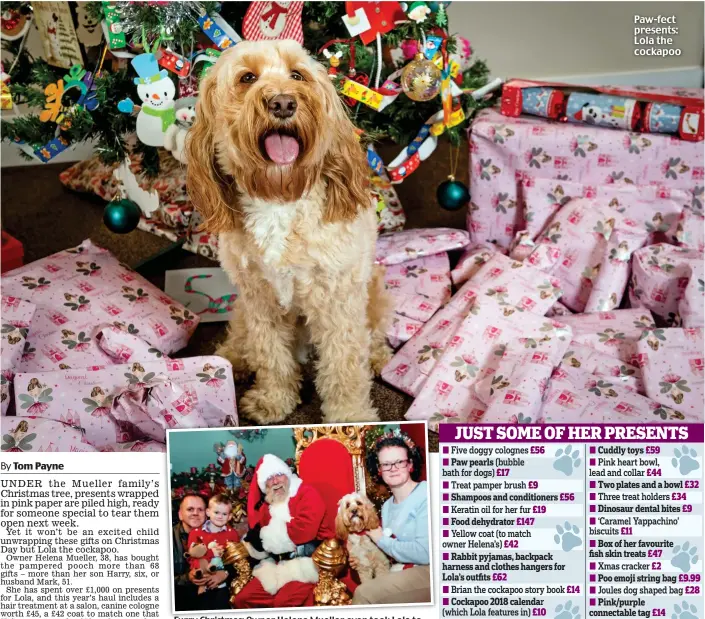  ??  ?? Furry Christmas: Owner Helena Mueller even took Lola to Santa’s grotto – along with husband Mark and son Harry Paw-fect presents: Lola the cockapoo