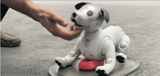  ?? GEOFFREY A. FOWLER/THE WASHINGTON POST ?? Sony’s robot dog Aibo has been reborn at CES. Aibo has a camera in its nose, a microphone for voice commands and 22 articulate­d parts.