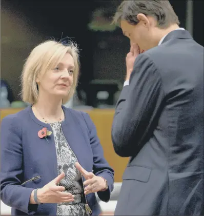  ??  ?? Chief Secretary to the Treasury Liz Truss discusses Brexit with Dutch Finance Minister Wopke Hoekstra.