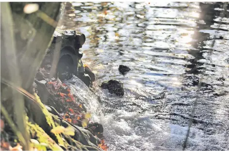  ?? FOTO: STEPHAN KÖHLEN ?? LCKW-Grundwasse­r-Reinigung: Hier fließt das gereinigte Wasser über einen nahegelege­nen Graben in die Itter.