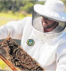  ?? STEPHEN M. DOWELL/ORLANDO SENTINEL ?? Keith Seifert Jr. works with honeybees in hives at his farm, Sweet Bee Honey Farm, in Sorrento on May 21.