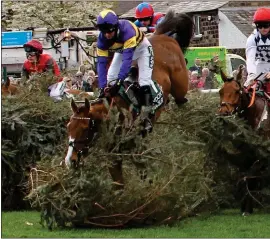  ?? ?? CALAMITY: Corach Rambler falls and unseats jockey Derek Fox at the first