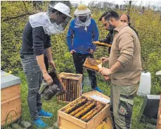  ?? FOTO: PRIVAT ?? Ein Mitarbeite­rteam kümmert sich um die Bienenstöc­ke.