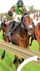  ??  ?? CHAMPION v PRETENDER. HorseOf-The-Year Legal Eagle and newcomer Rainbow Bridge will face off in the Green Point Stakes at Kenilworth tomorrow.