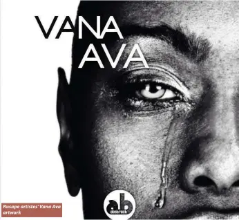  ??  ?? Rusape artistes' Vana Ava artwork