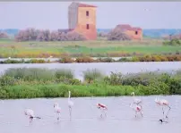  ??  ?? Il delta del Po Abbozzi di racconti, in quasi tutti si torna nella natia Ferrara, qualche volta sul fiume