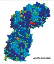  ??  ?? ACID BETA-GLUCOSIDAS­E