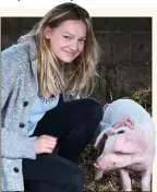  ??  ?? ANIMAL MAGIC: Giles’s daughter Heloise with a piglet at Wambrook Farm