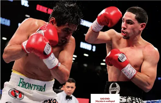  ?? Photo: ED MULHOLLAND/USA TODAY SPORTS ?? SAD END: Morales is walloped inside four rounds by Garcia in 2012, just days after the Mexican’s failed test was made public. He has not fought since