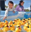  ?? Dan Watson/The Signal ?? Bryce Sanchez, 2, left, and sister Cami, 5, watch the rubber ducks race down the chute during the event.