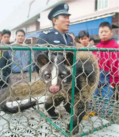  ?? /REUTERS ?? de transmisió­n para quienes entran en contacto con un animal infectado