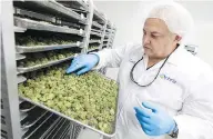  ?? DAX MELMER / FOR NATIONAL POST FILES ?? Cole Cacciavill­ani, co-founder of Aphria, will also be leaving an executive role at the cannabis producer.