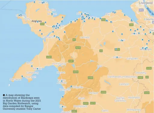  ??  ?? ● A map showing the distributi­on of Blackcaps seen in North Wales during the 2021 Big Garden Birdwatch, using data compiled by Bangor University student Toby Carter