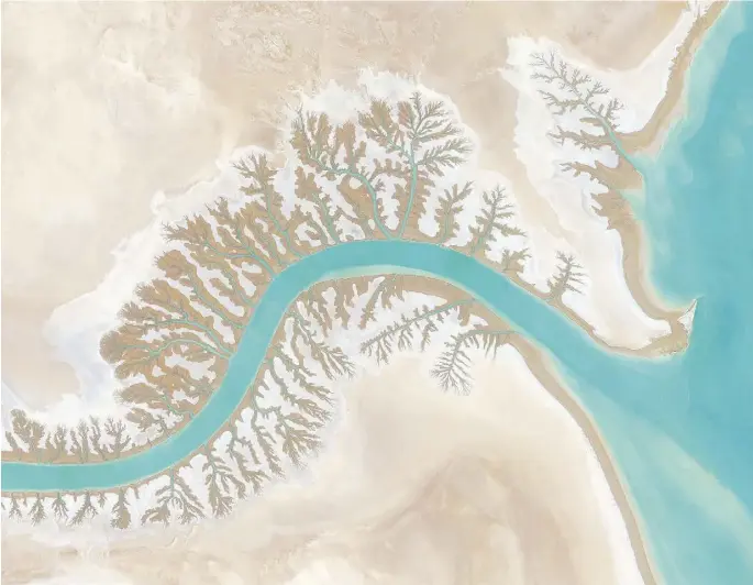  ?? PHOTOS: REPRINTED WITH PERMISSION FROM OVERVIEW BY BENJAMIN GRANT, COPYRIGHT ( C) 2016. PUBLISHED BY AMPHOTO BOOKS, A DIVISION OF PENGUIN RANDOM HOUSE, INC. ?? Dendritic drainage systems are seen around the Shadegan Lagoon by Musa Bay in Iran. The word dendritic refers to the resemblanc­e to the branches of a tree.
