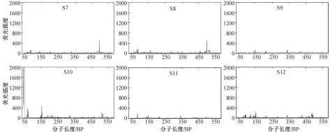  ??  ?? 图 2平水期沉积物菌群多­样性的 T-RFLP 分析结果Fig. 2 T-RFLP analysis results of bacterial diversity in the sediment samples in normal season