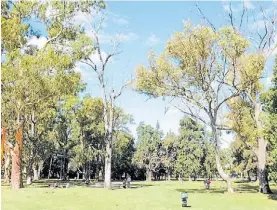  ?? ?? Parque San Martín. El lugar donde la joven se descompens­ó y cayó.