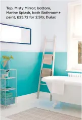  ??  ?? top, Misty Mirror; bottom, Marine Splash, both Bathroom+ paint, £25.72 for 2.5ltr, Dulux