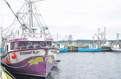  ?? ?? Inshore fishing boats in Summervill­e, Bonavista Bay.